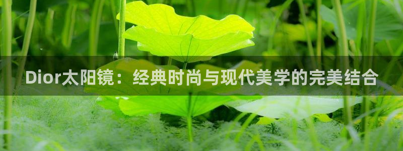 辉达娱乐官网