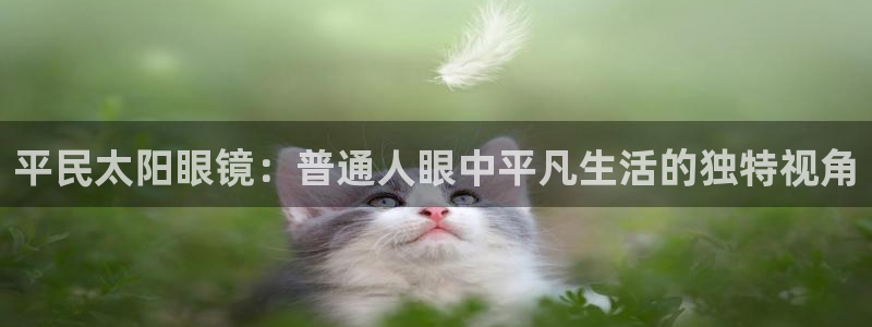 辉达娱乐加q75775稳定