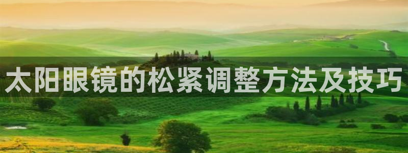 辉达娱乐电子