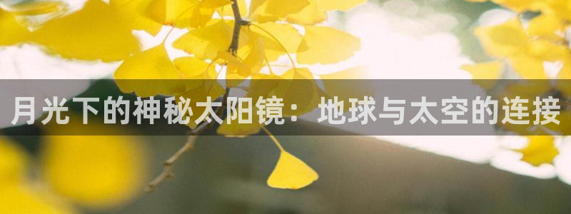 辉达娱乐官网