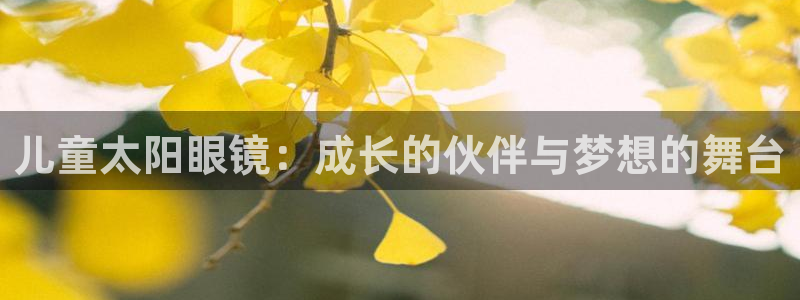 辉达娱乐加扣75775