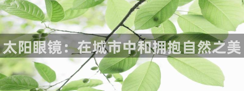 菲律宾辉达娱乐
