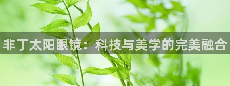 龙腾辉达电子娱乐