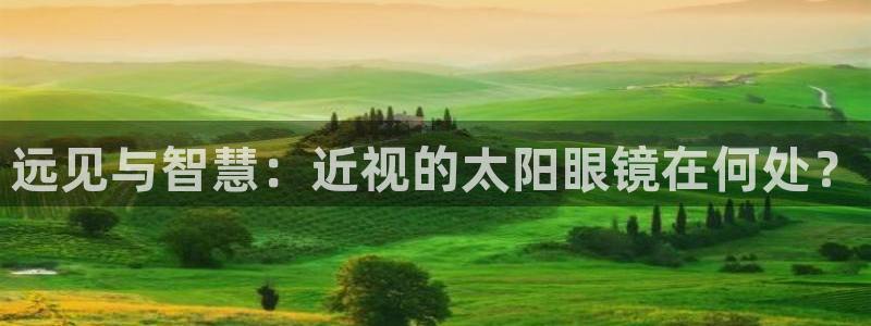 辉达娱乐官网