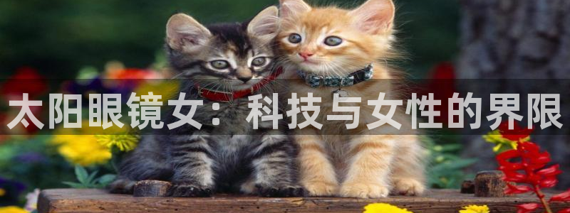 辉达平台官网下载