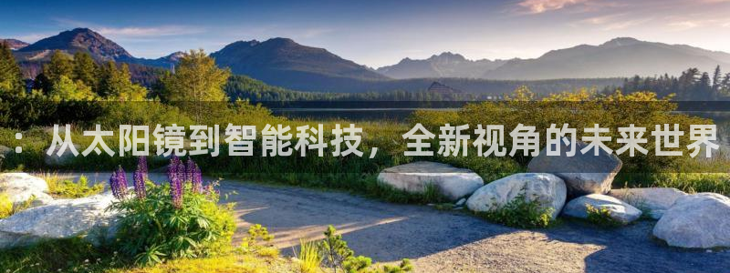 辉达娱乐ag游戏平台
