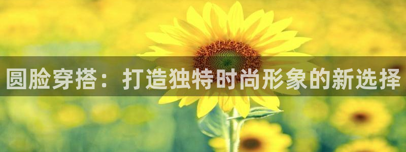 代理辉达娱乐官方网址