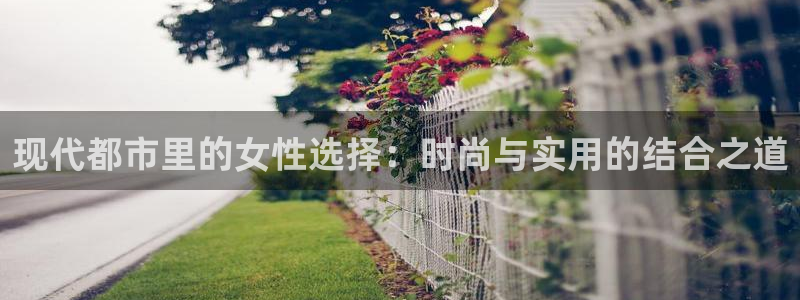 辉达娱乐
