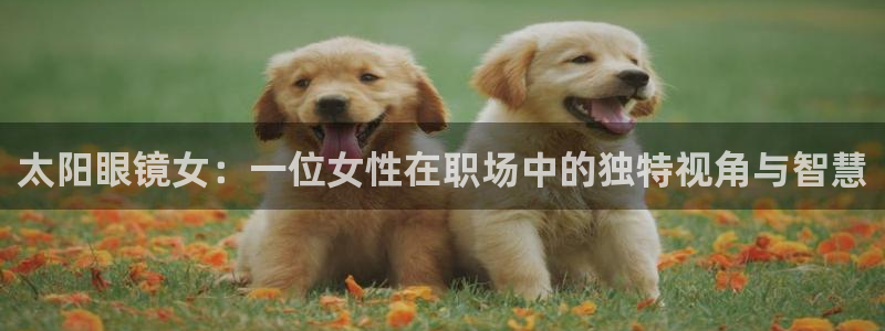 专业辉达娱乐平台