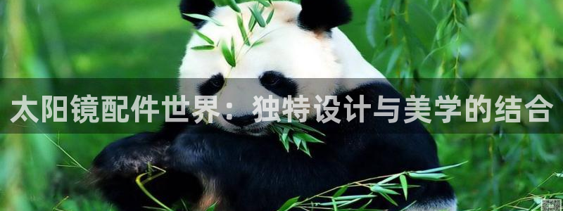 专业辉达娱乐在线游戏