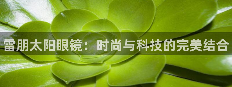 辉达娱乐多少年