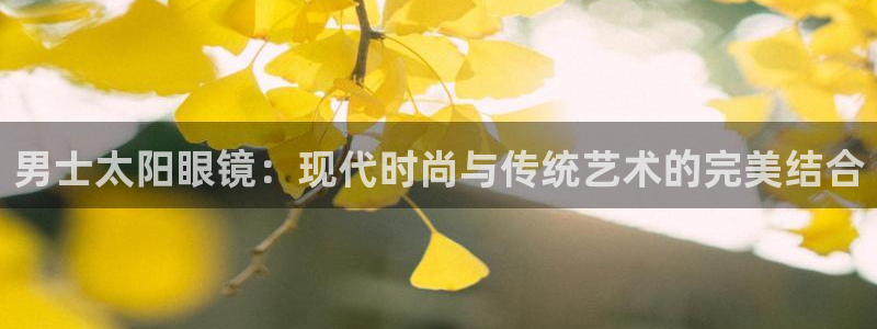辉达怎么样