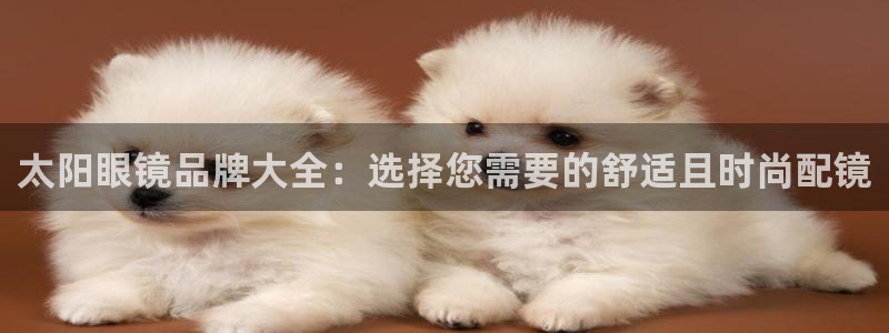 代理辉达娱乐
