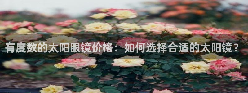 辉达娱乐电子