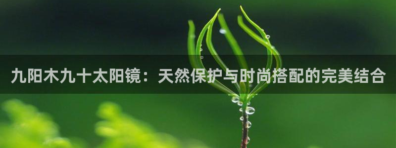 辉达娱乐分红
