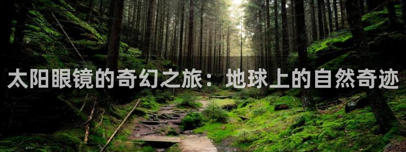 辉达娱乐检测
