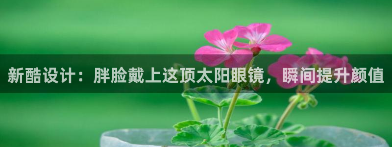 辉达娱乐衤39444