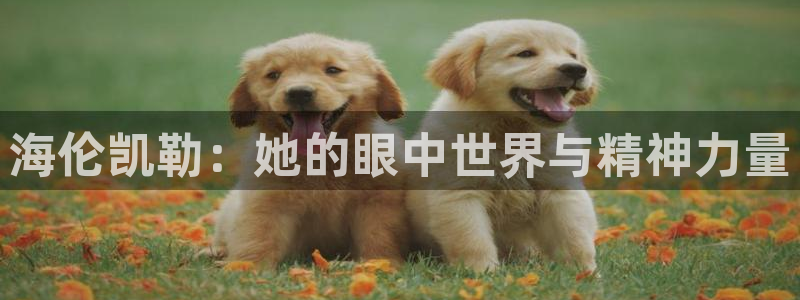 辉达娱乐新疆时时彩