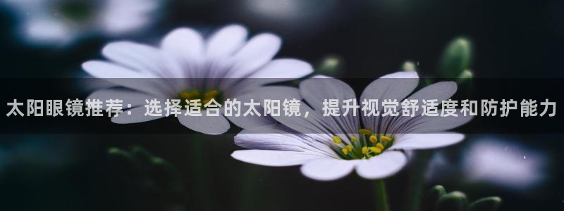 辉达娱乐线路检测