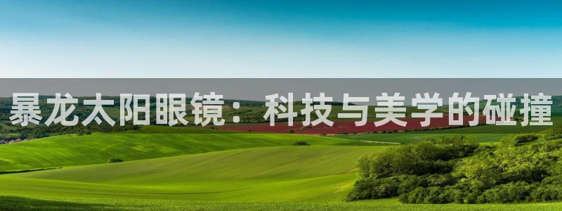 辉达娱乐待遇