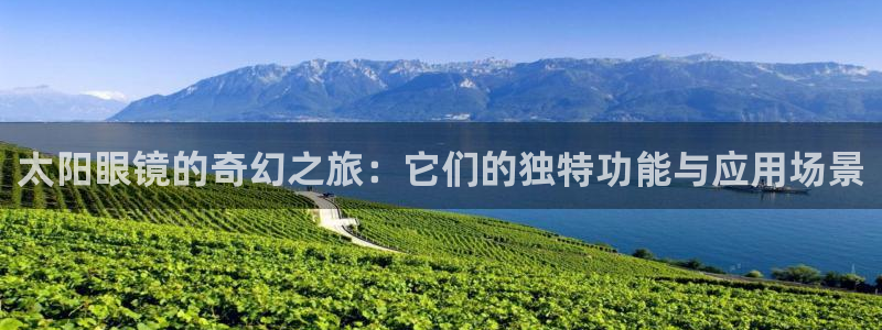 辉达娱乐电子