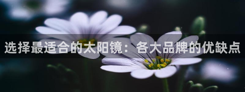 辉达娱乐己39444