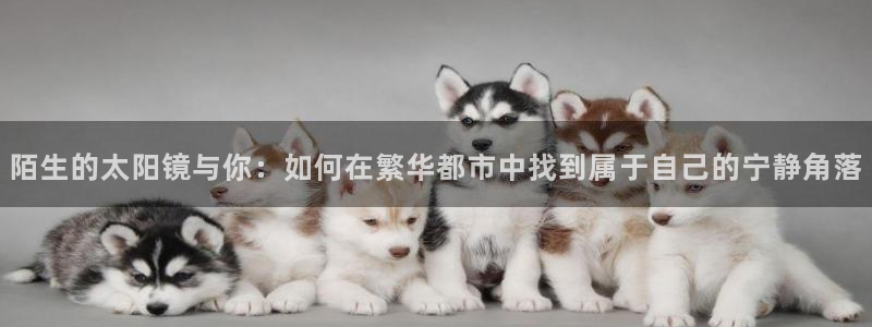 辉达娱乐加q75775