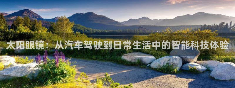 辉达娱乐最新现状