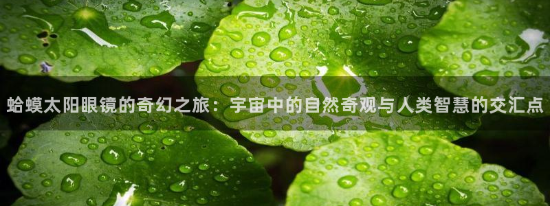 龙腾辉达电子娱乐