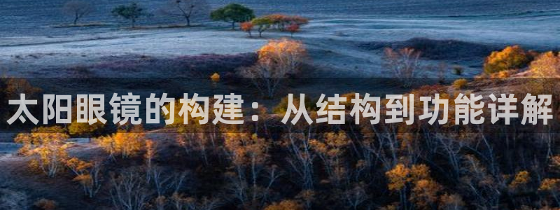 辉达娱乐最新现状