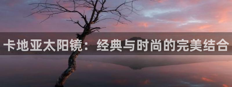 辉达平台官网电话