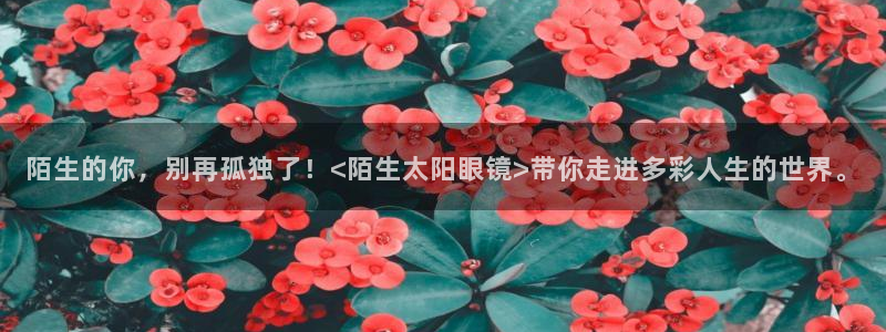 辉达娱乐时时彩平台