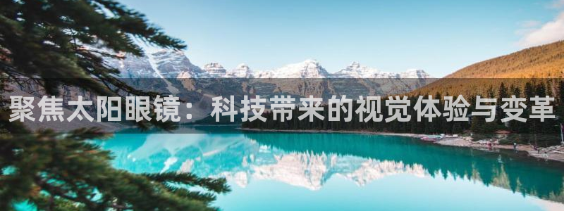 辉达平台官网电话