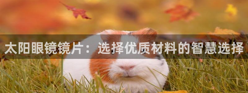 辉达娱乐 75505