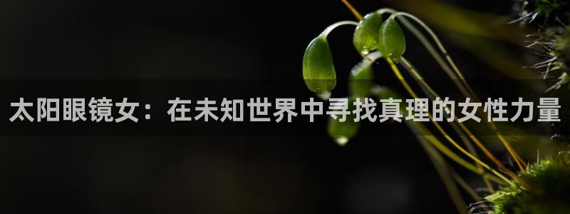 菲律宾辉达娱乐