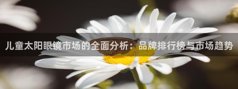 辉达娱乐多少年