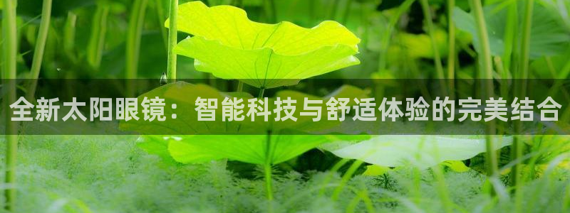 辉达娱乐公司