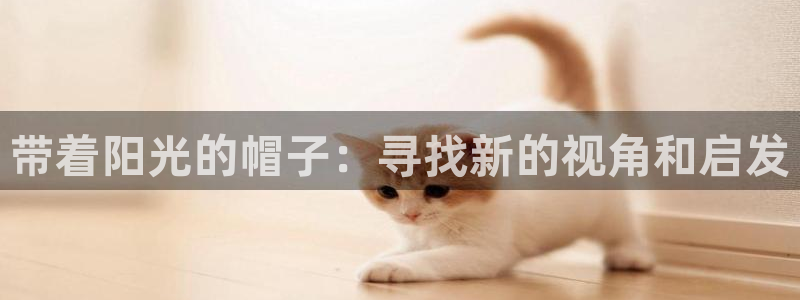 代理辉达娱乐平台