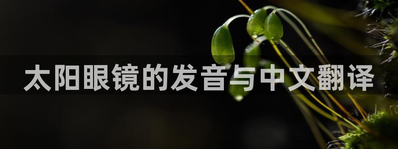 辉达娱乐最新版本更新内容
