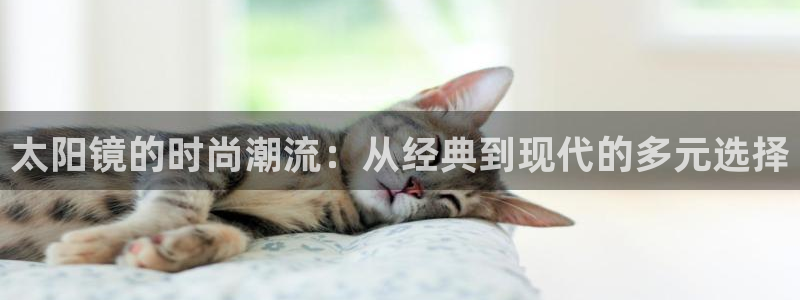 辉达娱乐体育竞猜