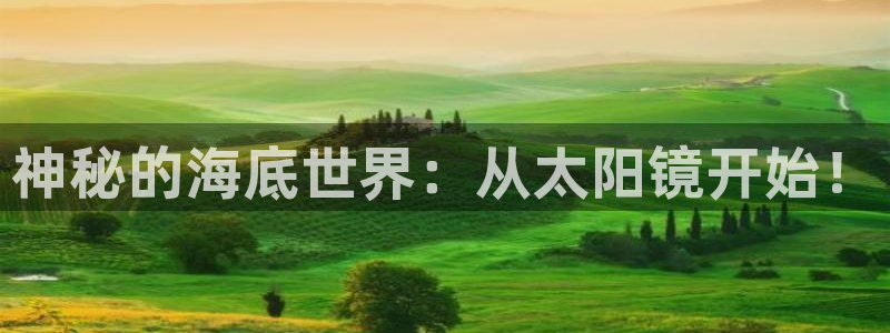 辉达娱乐网址