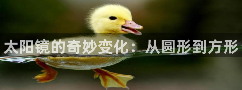 辉达娱乐计划软件