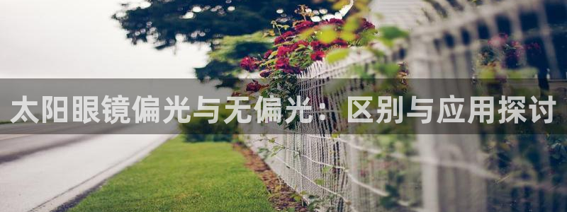 辉达娱乐电子游艺