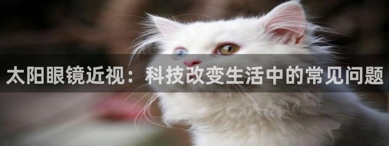 辉达娱乐平台