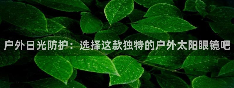 信誉辉达娱乐平台
